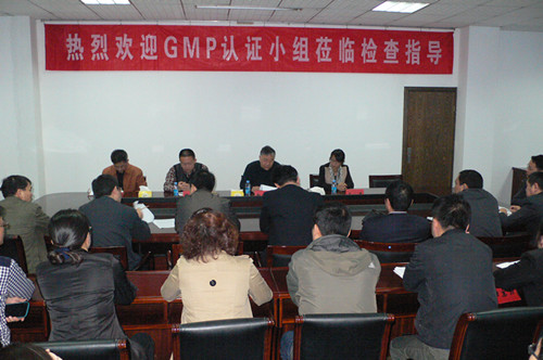 BG大游·(集团)视讯官方网站